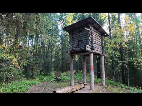 Видео: 4K Лесные дома охотников. Forest houses hunters . 森林房屋。