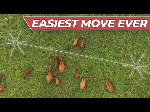 Видео: НОВАЯ технология ограждения для ежедневных перемещений скота [ротационный выпас]