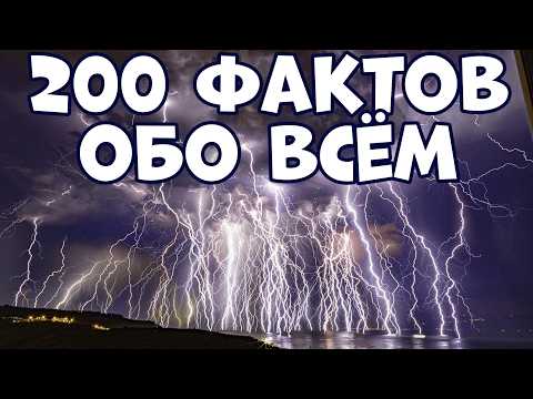 Видео: 200 УДИВИТЕЛЬНЫХ ФАКТОВ ОБО ВСЁМ НА СВЕТЕ