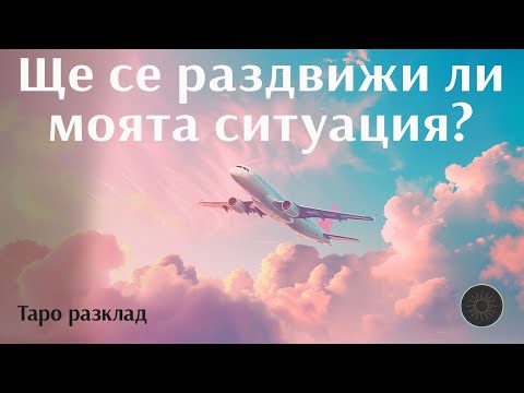 Видео: Ще се раздвижи ли тази ситуация?🪁🕊️✈️