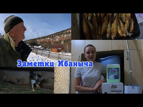 Видео: Стирка вместе с Easy Clean. Переменчивая погода, вкусная рыбка