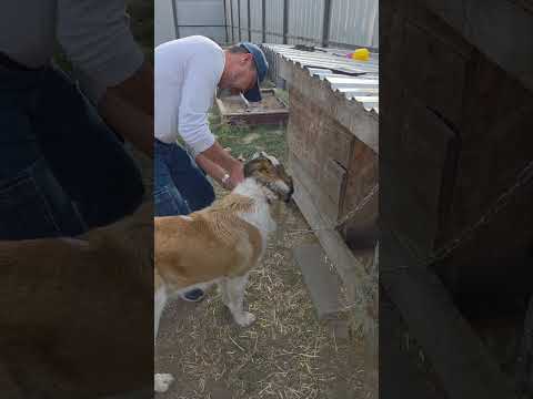 Видео: Два лайфхака. 