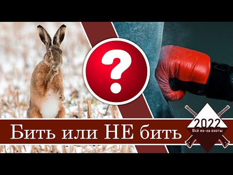 Видео: Бить или не Бить? Вот в чем вопрос!