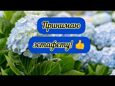 Видео: Принимаю эстафету и передаю дальше, ловите друзья! С наступающим Новым годом🌲!