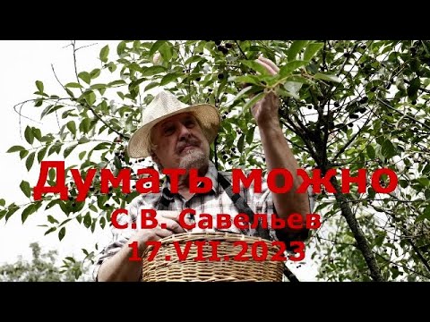 Видео: С.В. Савельев - Думать можно