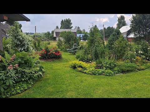 Видео: Ливни, ураганы. Середина лета...Обзор сада.