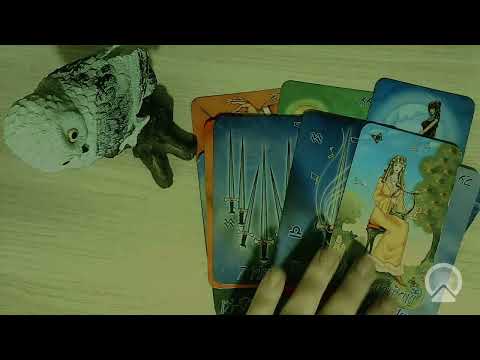 Видео: Твой Путь Света.