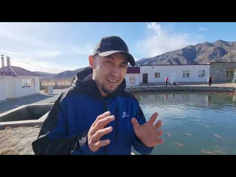 Видео: Ала-балык 2