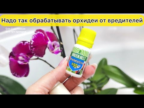Видео: Надо так обработать новые орхидеи от вредителей