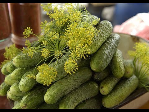 Видео: Мои самые вкусные рецепты огурцов на зиму / Заготовки на зиму / Рецепты маринованных вкусных огурцов