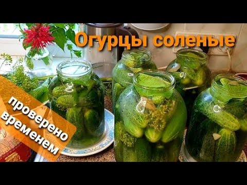 Видео: Огурцы соленые на зиму. Получаются вкусные, хрустящие, малосоленые.Без уксуса.