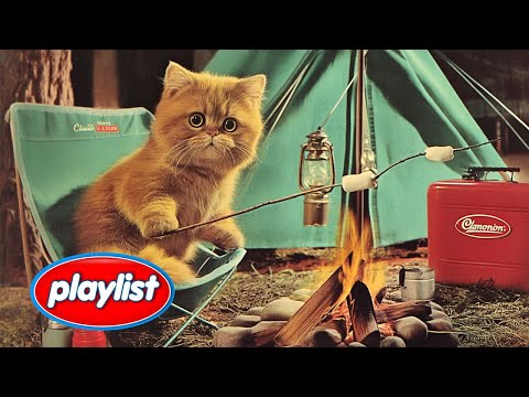 Видео: Посмотришь со мной на огонь сегодня ночью?🔥 Плейлист в стиле чилл-поп, как ночной воздух