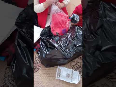 Видео: 12 ноября 2025 г.