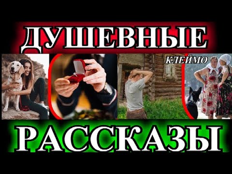 Видео: ДУШЕВНЫЕ РАССКАЗЫ❤️ЮВЕЛИРКА❤️ОБМАН❤️КЛЕЙМО❤️@TEFI РАССКАЗЫ