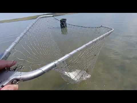 Видео: егорлыкское водохранилище 18. 06.22 г