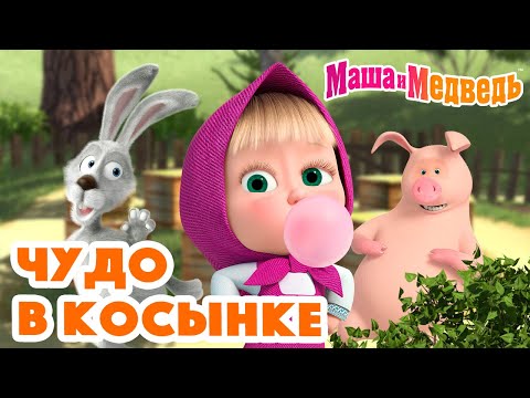 Видео: Маша и Медведь 🧞‍♀️🤪Чудо в косынке🤪🧞‍♀️ Коллекция серий про Машу 🎬