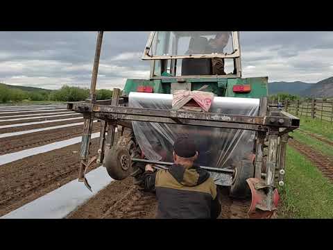 Видео: плёнкоукладчик  собственного производства испытание