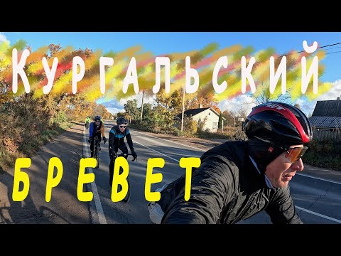 Видео: БРЕВЕТ КУРГАЛЬСКИЙ 200 с "Балтийской звездой" │18.10.2025