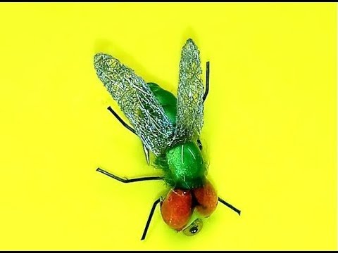 Видео: гавняная муха на головля