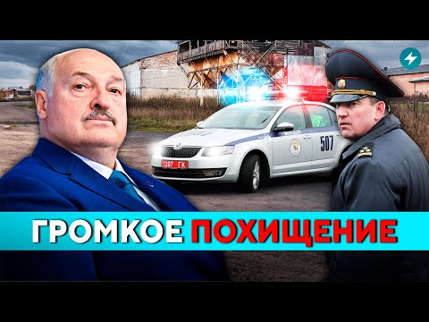 Видео: Схема шокировала всех! В деле замешан директор сельхозпредприятия. Убытки огромные // Новости