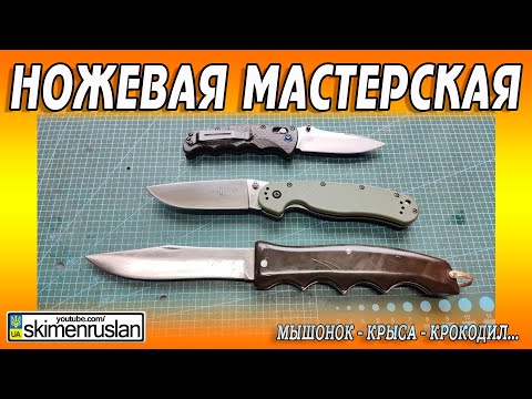 Видео: МЫШОНОК - КРЫСА - КРОКОДИЛ...