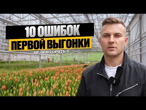 Видео: 10 ошибок 1-й выгонки тюльпана