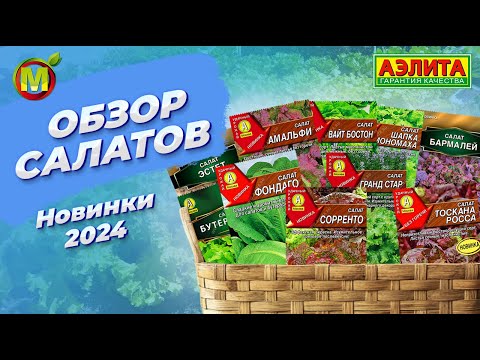 Видео: СЕМЕНА САЛАТА. Оригинальные НОВИНКИ 2024!