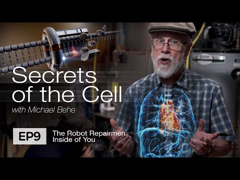 Видео: Роботы-ремонтники внутри тебя (Secrets of the Cell, Эпизод 9 с участием биолога Майкла Бихи)