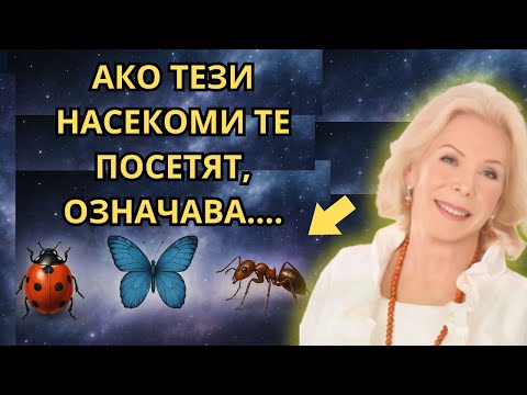 Видео: 97% ИГНОРИРАТ ТЕЗИ ЗНАЦИ! 🐜 ЕНЕРГИЙНОТО ЗНАЧЕНИЕ НА НАСЕКОМИТЕ В ДОМЪТ ВИ
