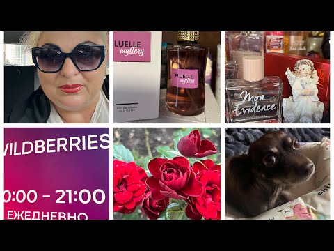 Видео: 28.10.24г🌹Вечерний Лазаревское/ Розы цветут бесконечно/ Коллекция духов/ Новый аромат#аринаморесочи