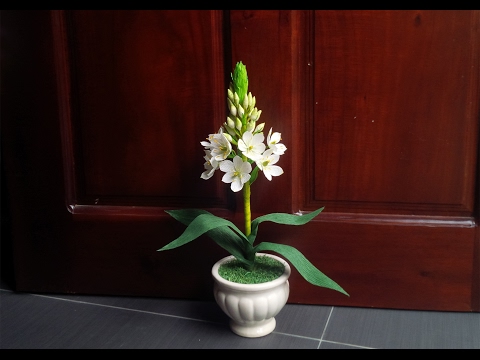 Видео: ABC TV |Как сделать звезду из Вифлеема бумажным цветком с крепированной бумаги - Учебник по ремеслу