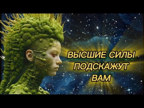 Видео: ‼️Высшие Силы💫Подсветят Вам‼️