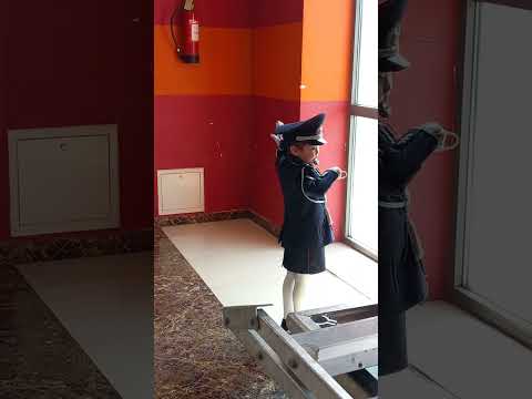 Видео: зохицуулагч цагдаа