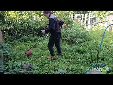 Видео: кошу траву в палисаднике