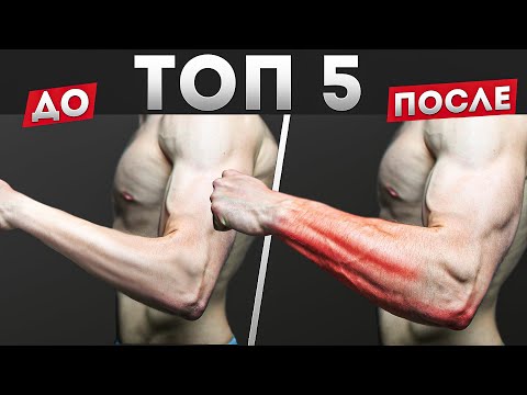 Видео: 5 ЛУЧШИХ Упражнений Для Больших Предплечий (ДОМА)