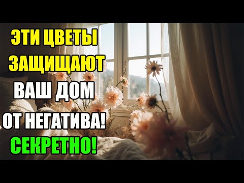 Видео: ЦВЕТЫ, КОТОРЫЕ ОТВОДЯТ НЕГАТИВ И ЗЛЫЕ ЭНЕРГИИ! ТАЙНА, КАК ЦВЕТЫ ЗАЩИЩАЮТ ВАШ ДОМ!