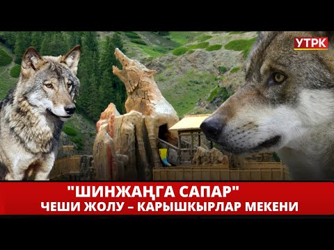 Видео: Чеши жолу – карышкырлар мекени // "Шинжаңга сапар" // 4 - көрсөтүү
