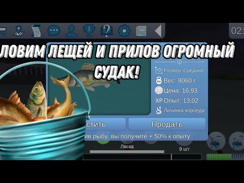 Видео: Ловим Лещей и прилов ОГРОМНЫЙ СУДАК! - Реальная Рыбалка 2