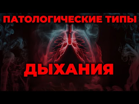 Видео: Дыхание. Паттерны, патология и нервная регуляция #ПроСМП
