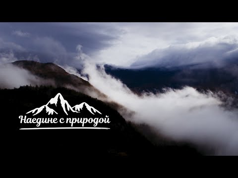 Видео: Наедине с природой (Вуктыл, 2020)