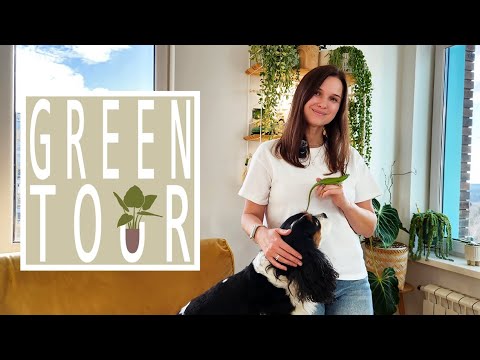 Видео: GreeTour🪴/В гостях у Жени/Когда прекрасно всё!