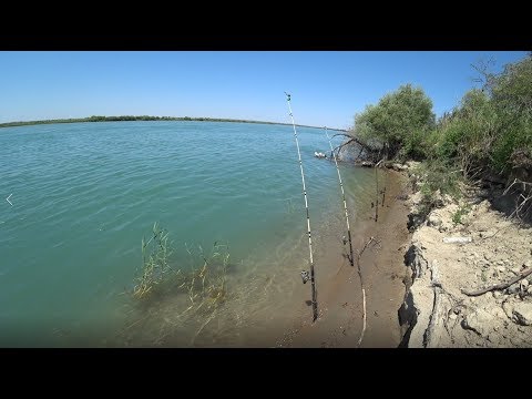 Видео: ОПЯТЬ КРУТАЯ РЫБАЛКА! Река Или, Сазан, Карась, Вобла. SONY X3000, Pajero 2