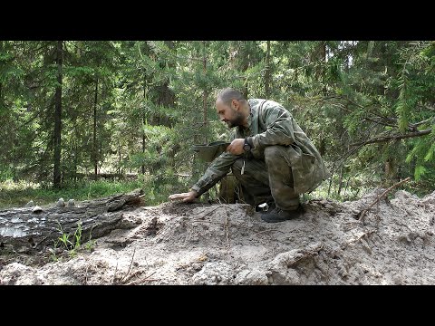 Видео: 100% защита от комаров | Егерский способ 2.0 | На рыбалке, На даче, В лесу