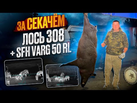Видео: Охота на КАБАНА С ЛОСЬ 145 и VARG 50RL