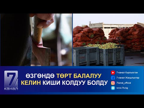 Видео: ТҮШКҮ КАБАР 07.10.2024: ЧҮЙДӨГҮ ШИРЕ ЧЫГАРУУЧУ ЗАВОД ЖАҢЫЛАНДЫ