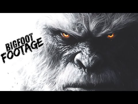 Видео: Вы не готовы к этим 9 наблюдениям за снежным человеком… и их ночные вой пугают