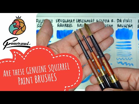 Видео: Набор кистей Fuumuui Genuine Squirrel — слишком хорошо, чтобы быть правдой? Честное первое впечат...