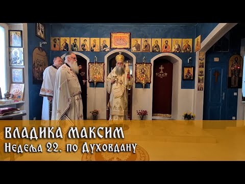 Видео: 9. 11. 2025. Беседа Владике Максима у недељу 22. по Духовдану