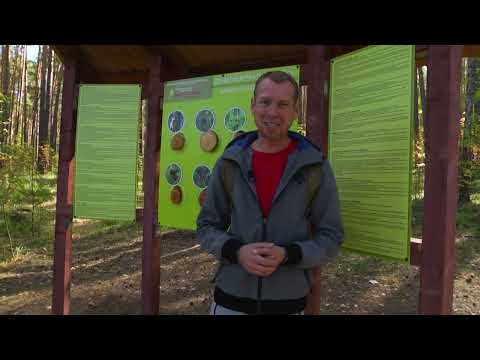 Видео: Если дома не сидится. Бажовские места 14.09.2023