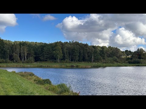 Видео: Расхламление у подруги и мои находки | Продажи, готовка, быт, работа и заботы. 